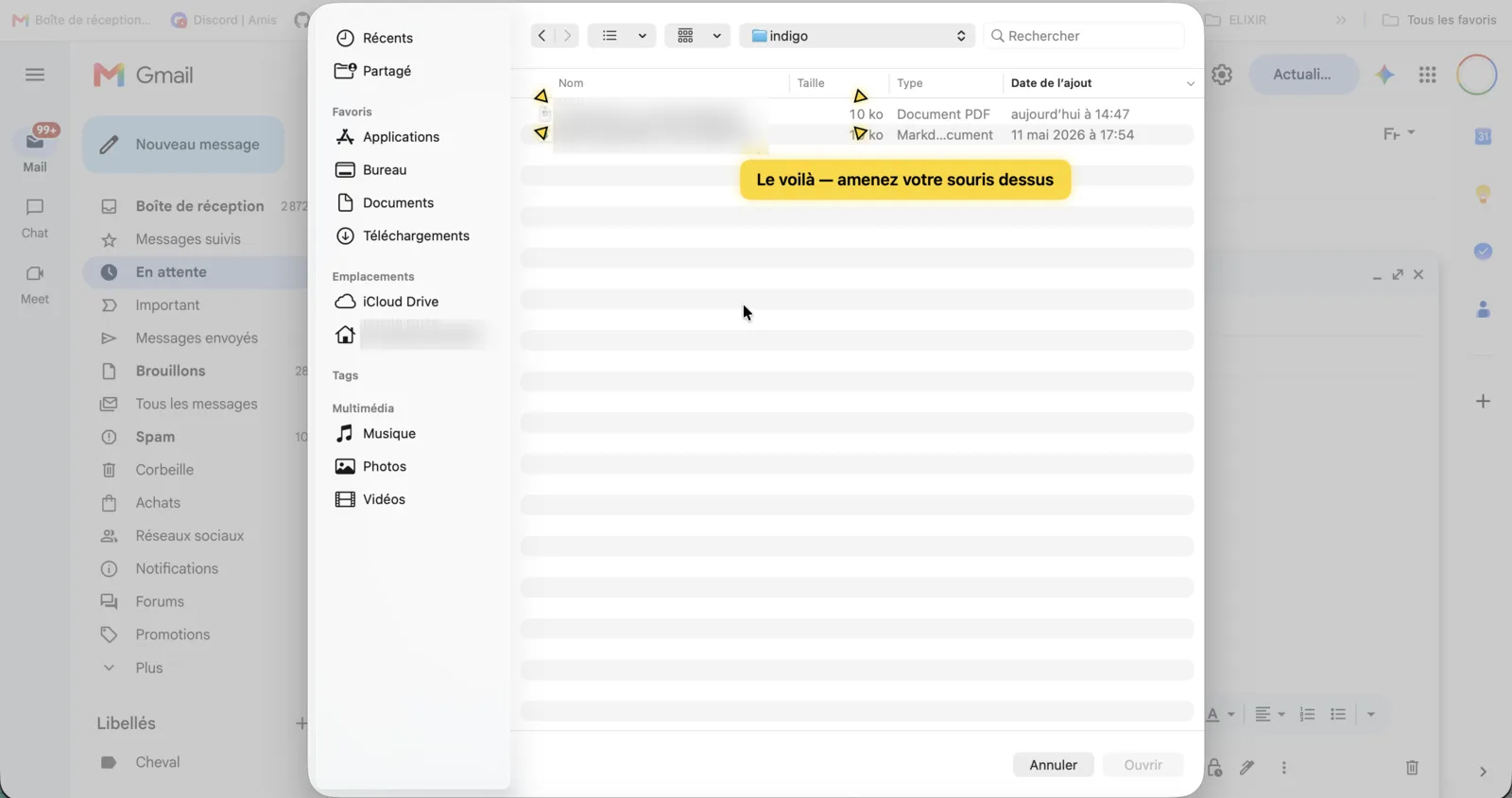 Curseur Indigo pointant le bon fichier à choisir dans la fenêtre de sélection sur Mac